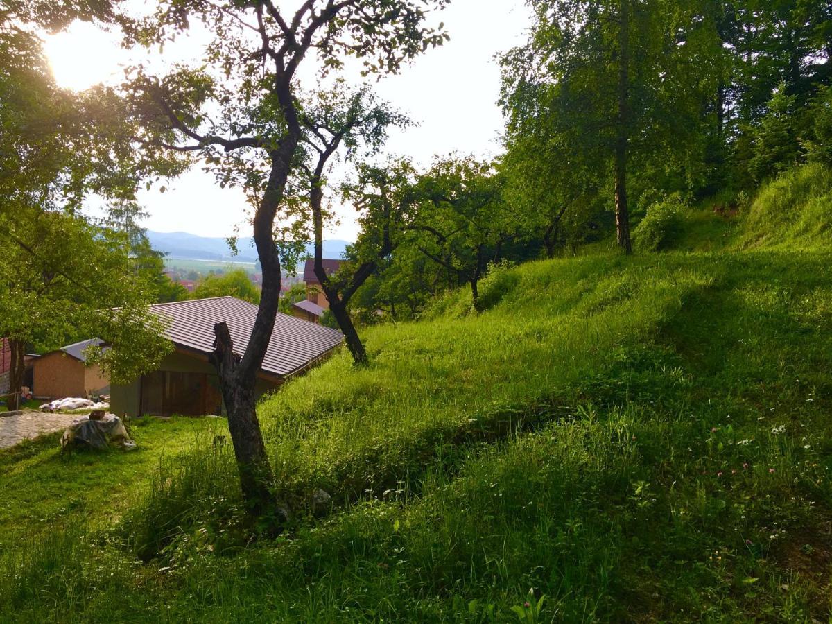 Soho Lodge Rasnov Exterior photo