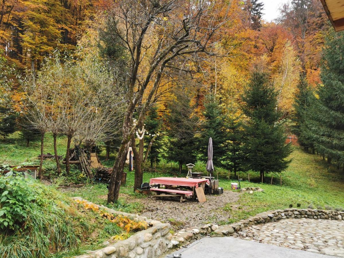 Soho Lodge Rasnov Exterior photo
