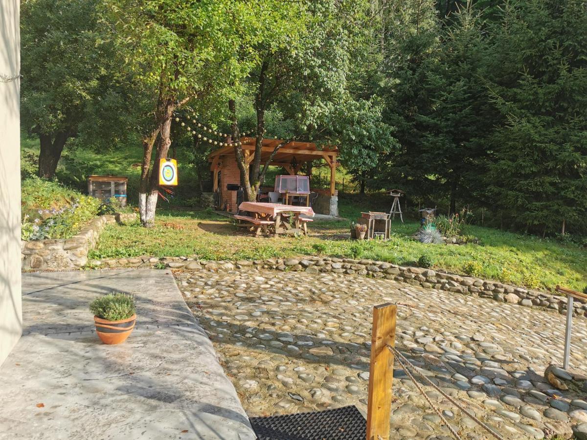 Soho Lodge Rasnov Exterior photo