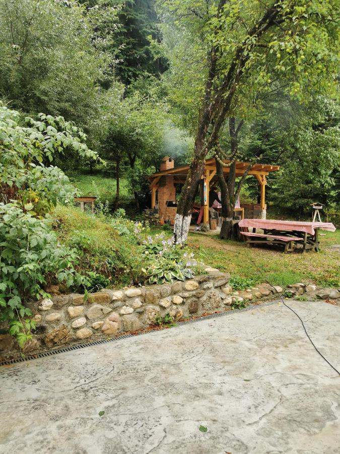 Soho Lodge Rasnov Exterior photo